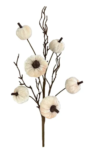 17"H Pumpkin Twig Pick x 6 : Beige - 57147BE