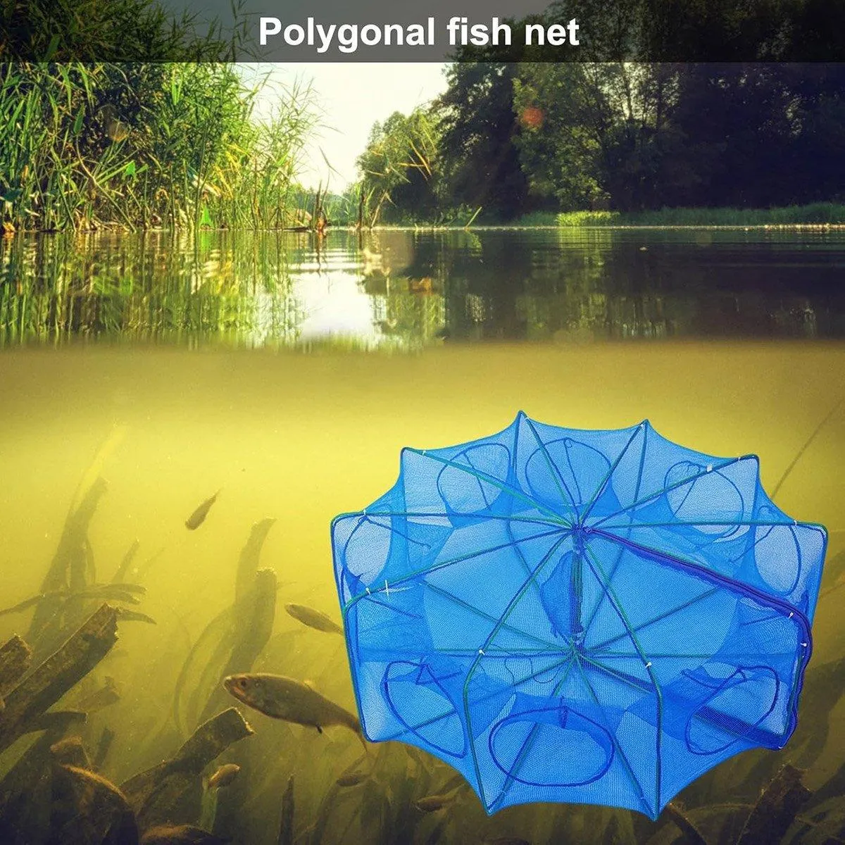 6/8/10 Holes Fishing Net Small Foldable Square Folding Shrimp Eel Lobster Trap