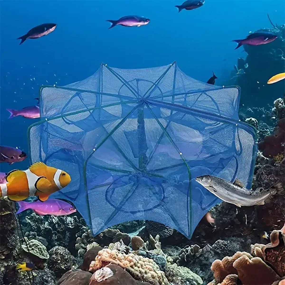 6/8/10 Holes Fishing Net Small Foldable Square Folding Shrimp Eel Lobster Trap