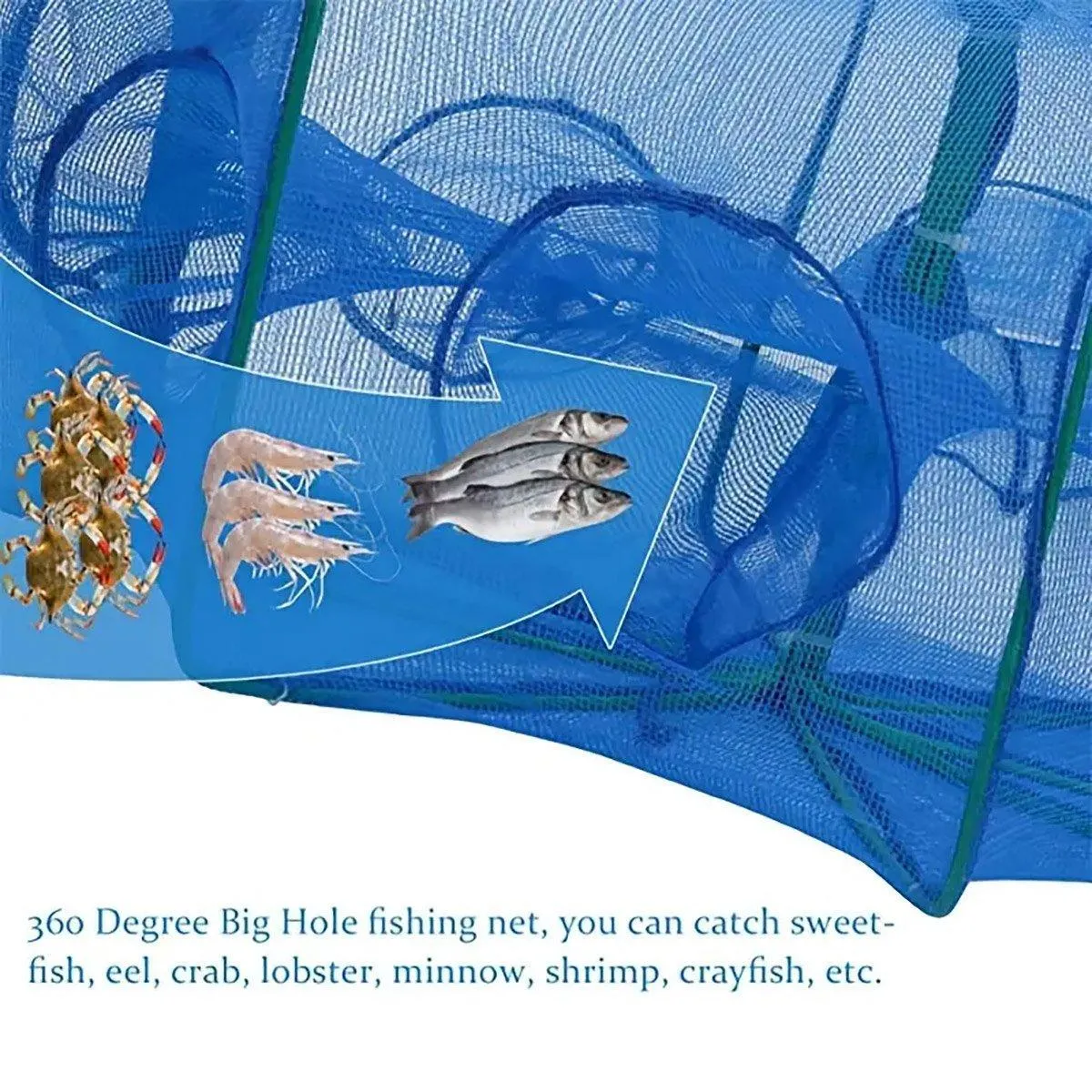 6/8/10 Holes Fishing Net Small Foldable Square Folding Shrimp Eel Lobster Trap