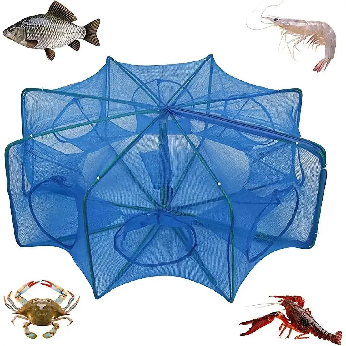 6/8/10 Holes Fishing Net Small Foldable Square Folding Shrimp Eel Lobster Trap