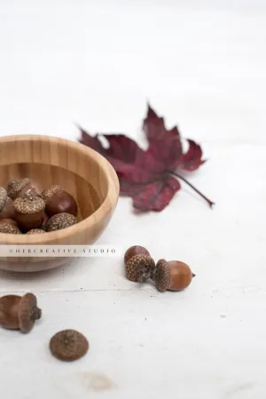 Acorn & Maple Leaf on Marble