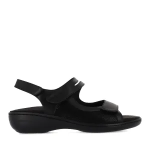 ANJ - BLACK STRETCH