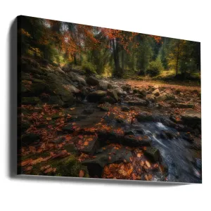 Autumn Forest Landscape
