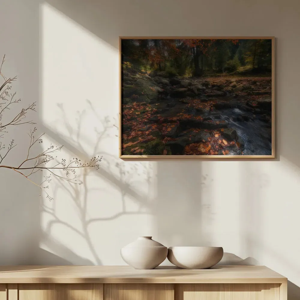 Autumn Forest Landscape