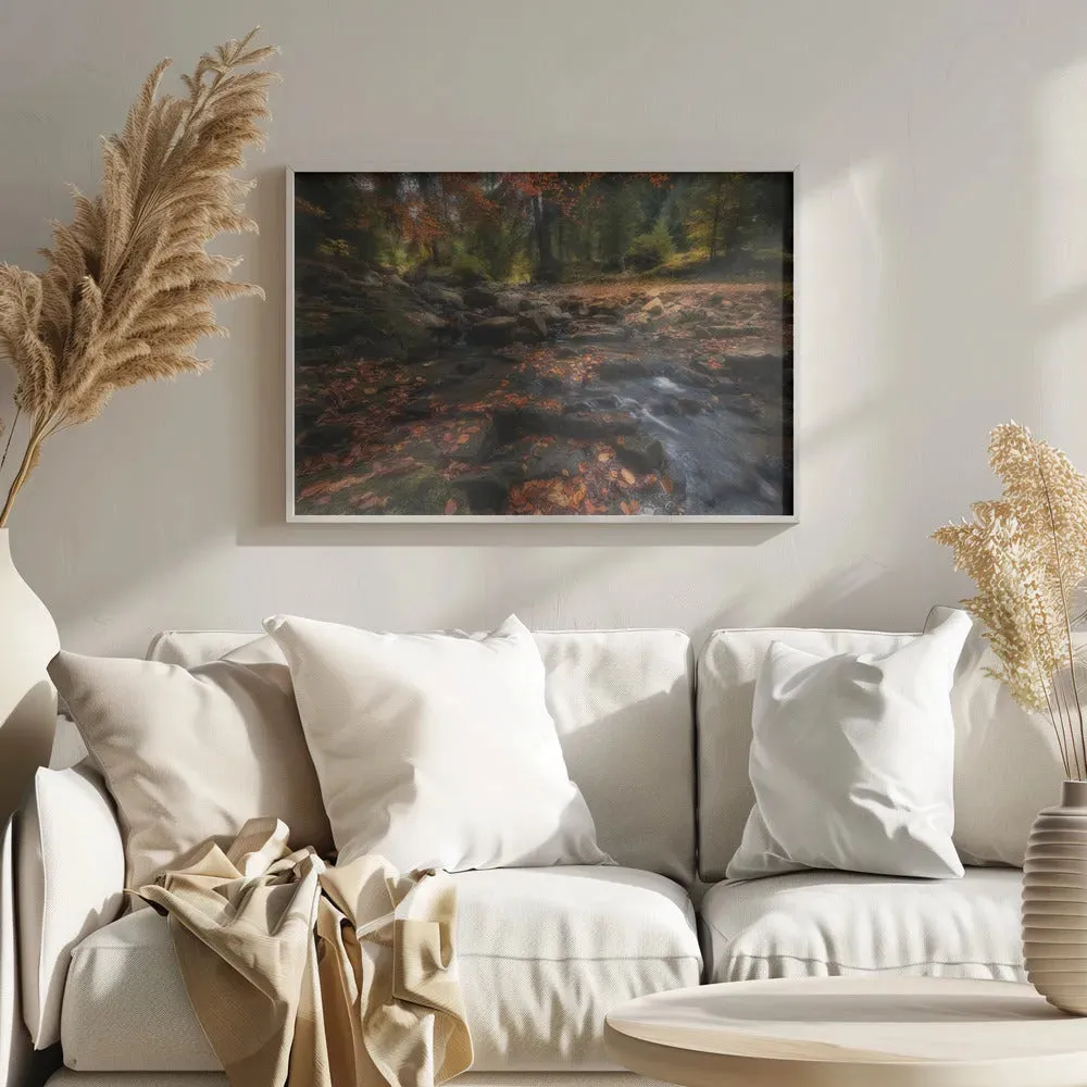 Autumn Forest Landscape