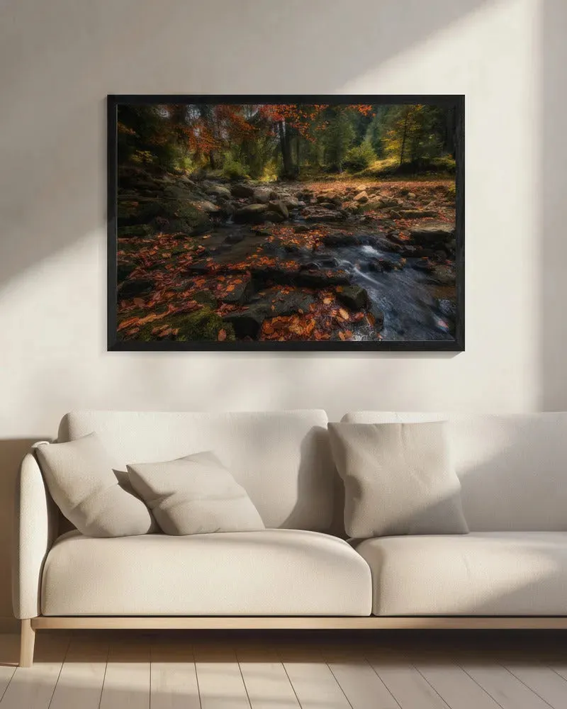 Autumn Forest Landscape