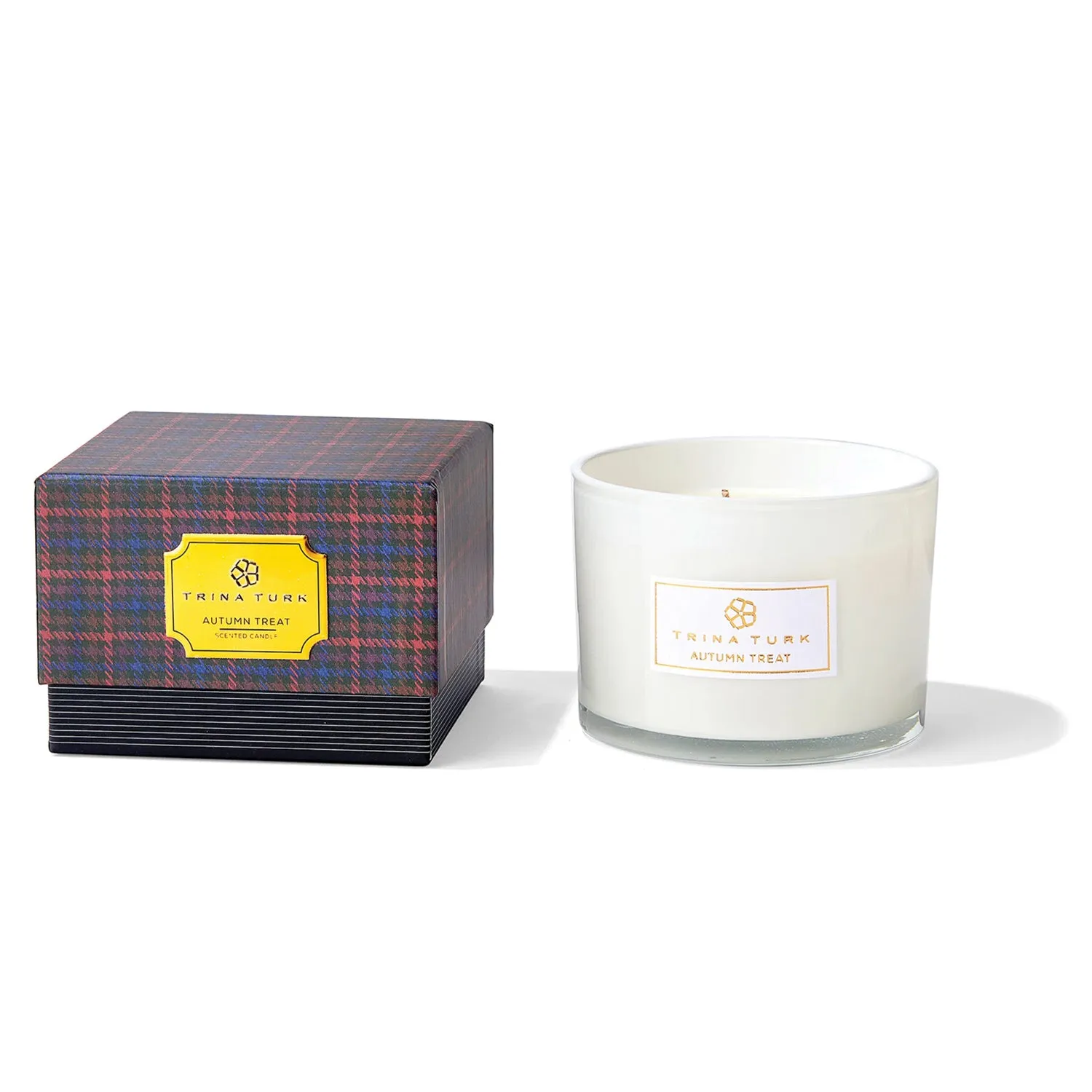 Autumn Treat 3-Wick Frosted Glass Candle Jar