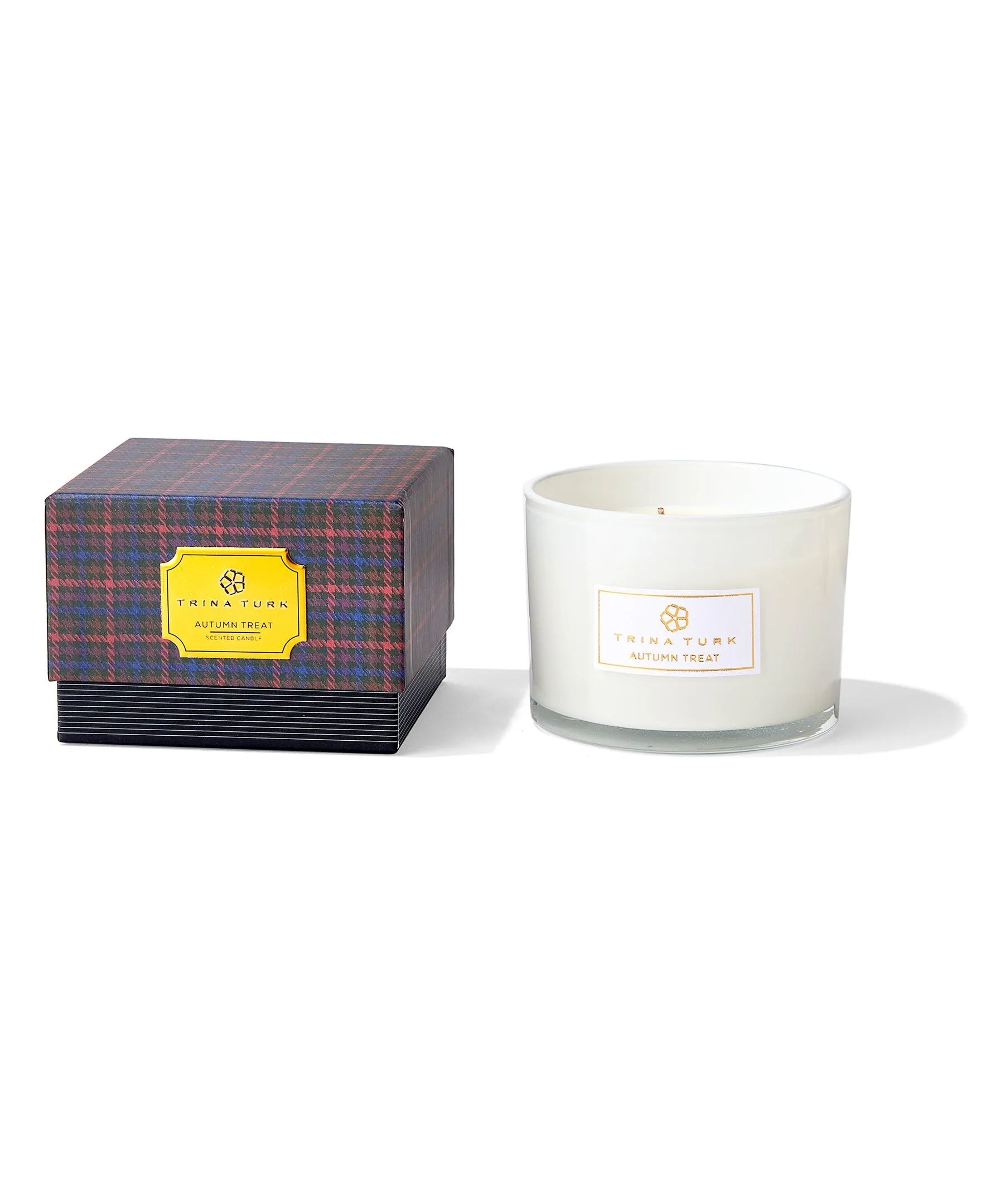 Autumn Treat 3-Wick Frosted Glass Candle Jar