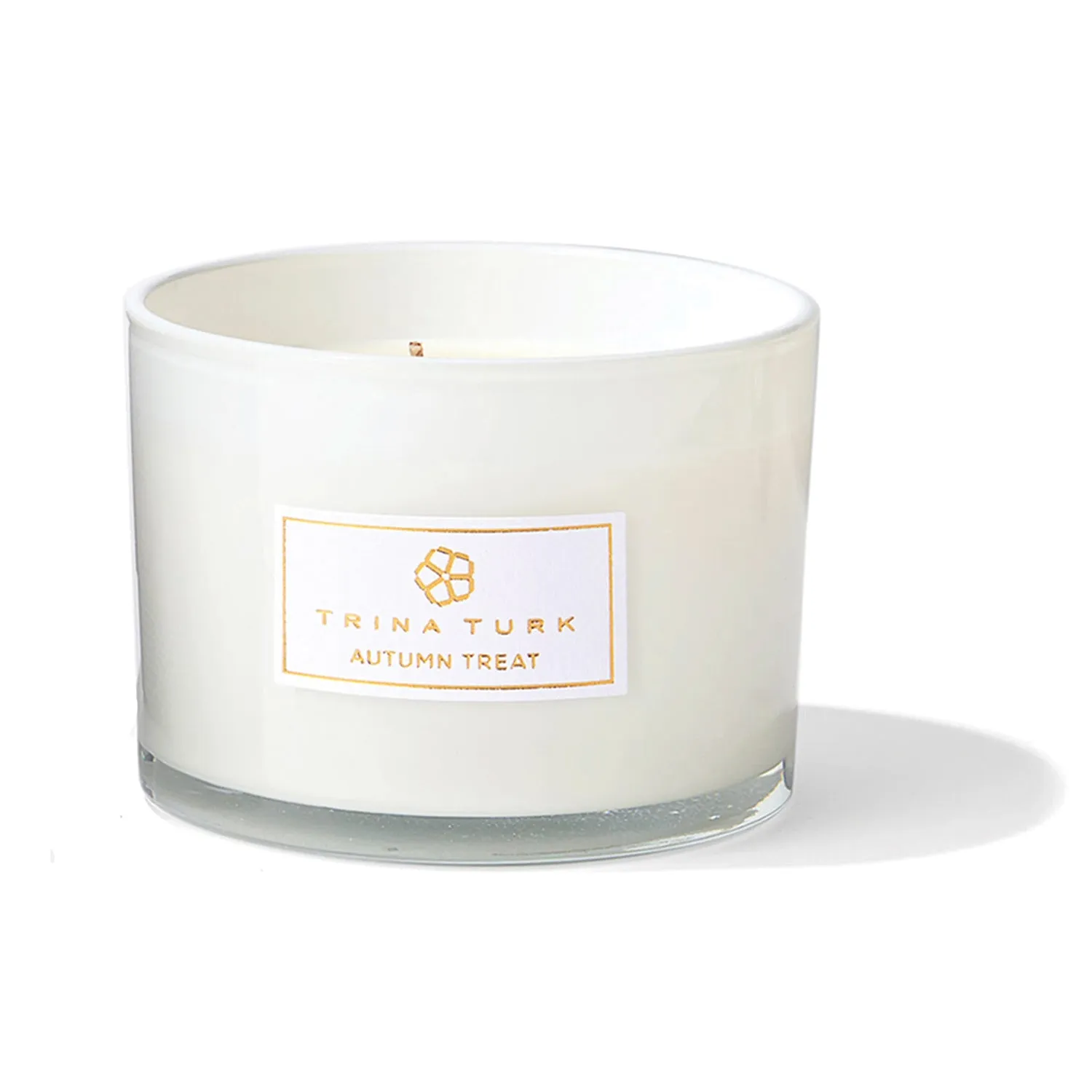 Autumn Treat 3-Wick Frosted Glass Candle Jar