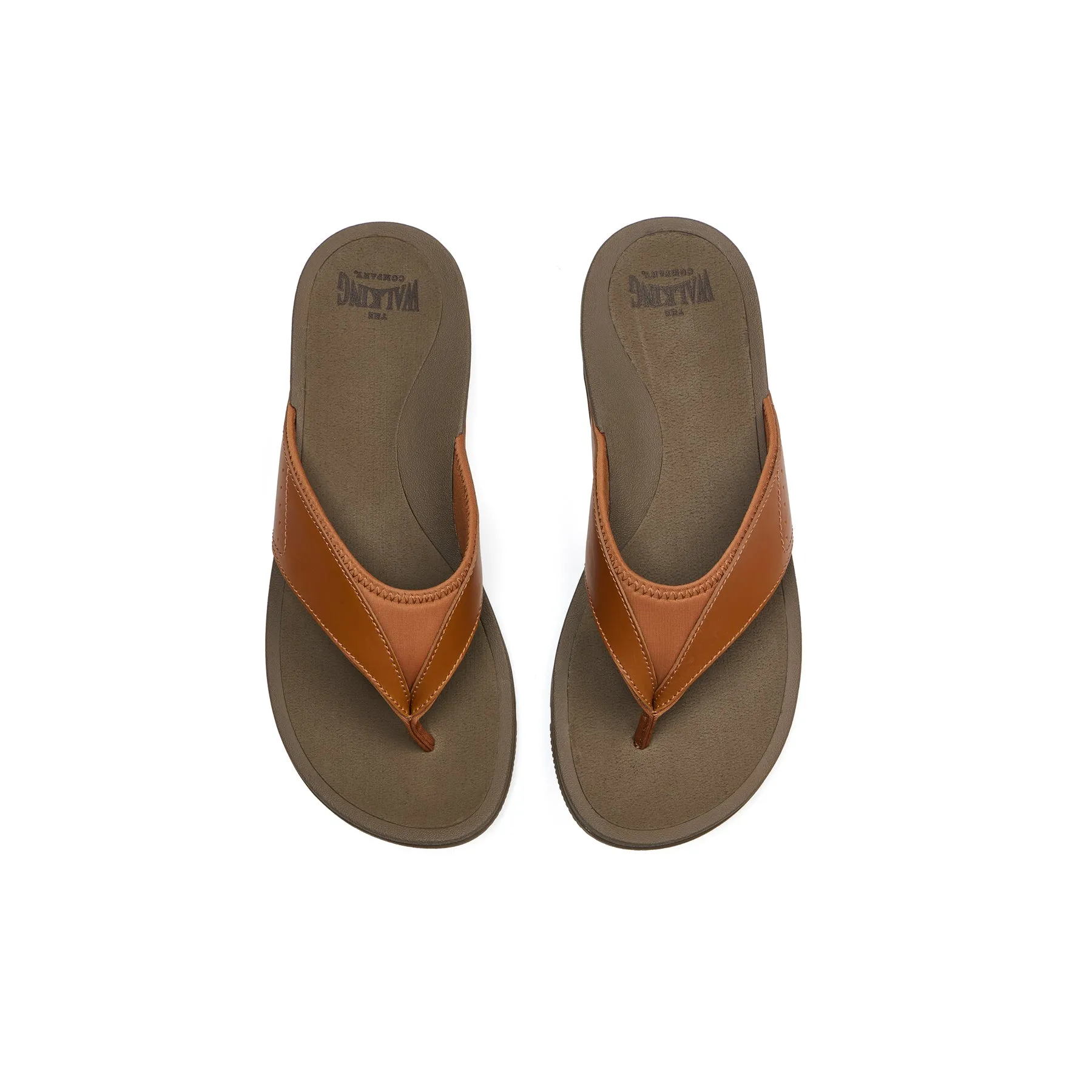 Balboa Metatarsal