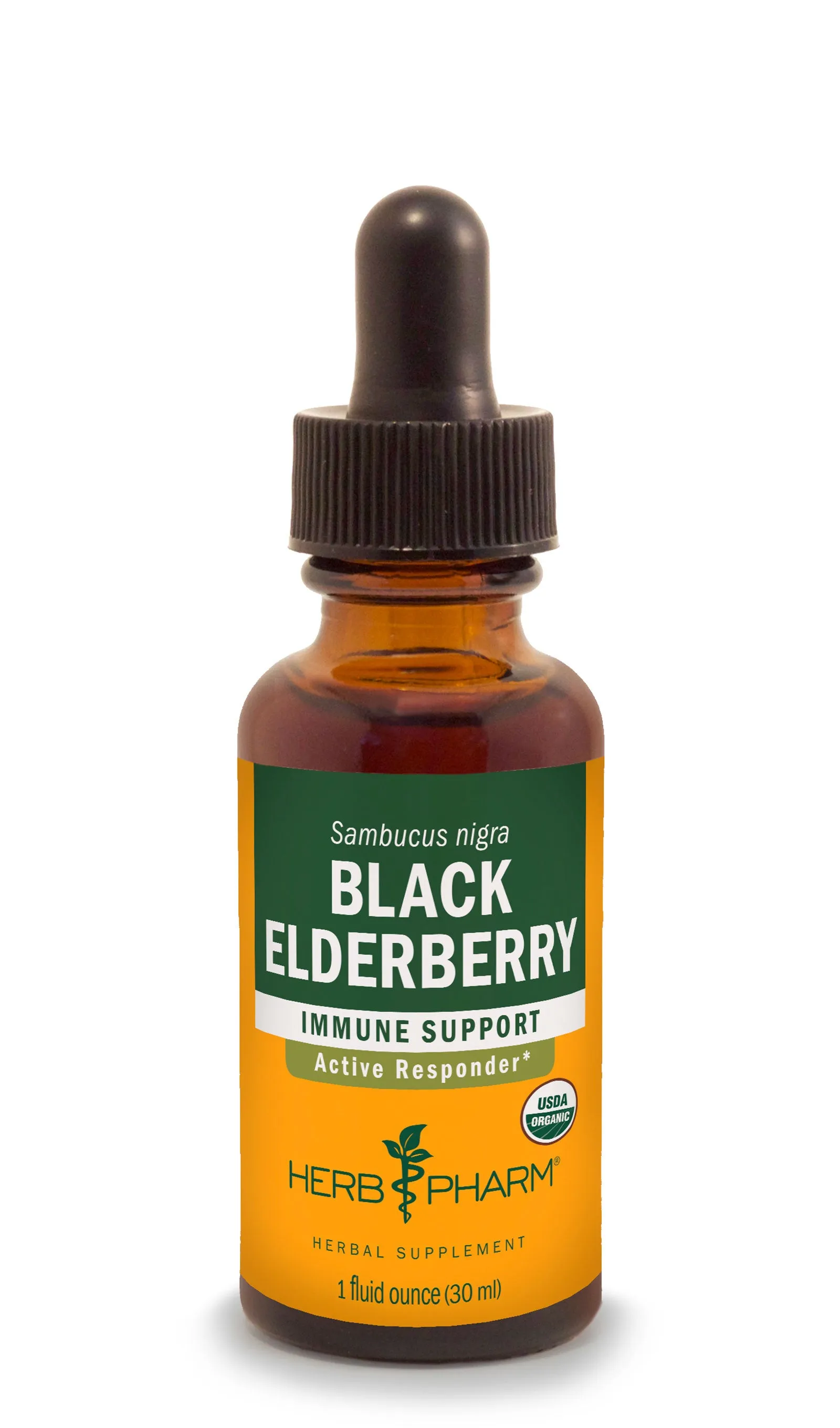 Black Elderberry Extract