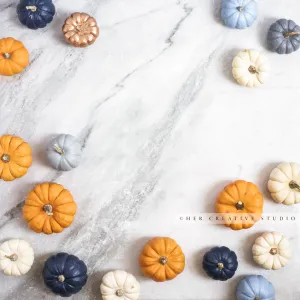 Coloured Pumpkins on Marble 2