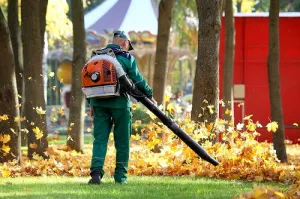 Fall Clean-up