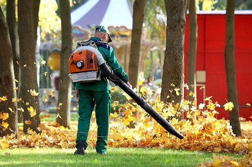 Fall Clean-up