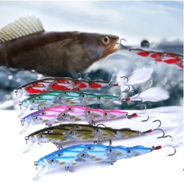 Fish bait for siniperca chuatsi