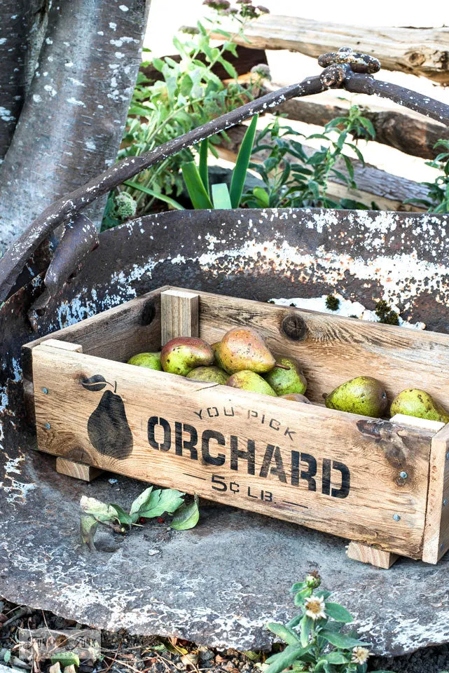 FJ081 Funky Junk's You Pick Orchard