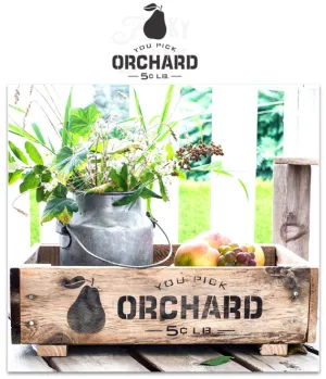 FJ081 Funky Junk's You Pick Orchard