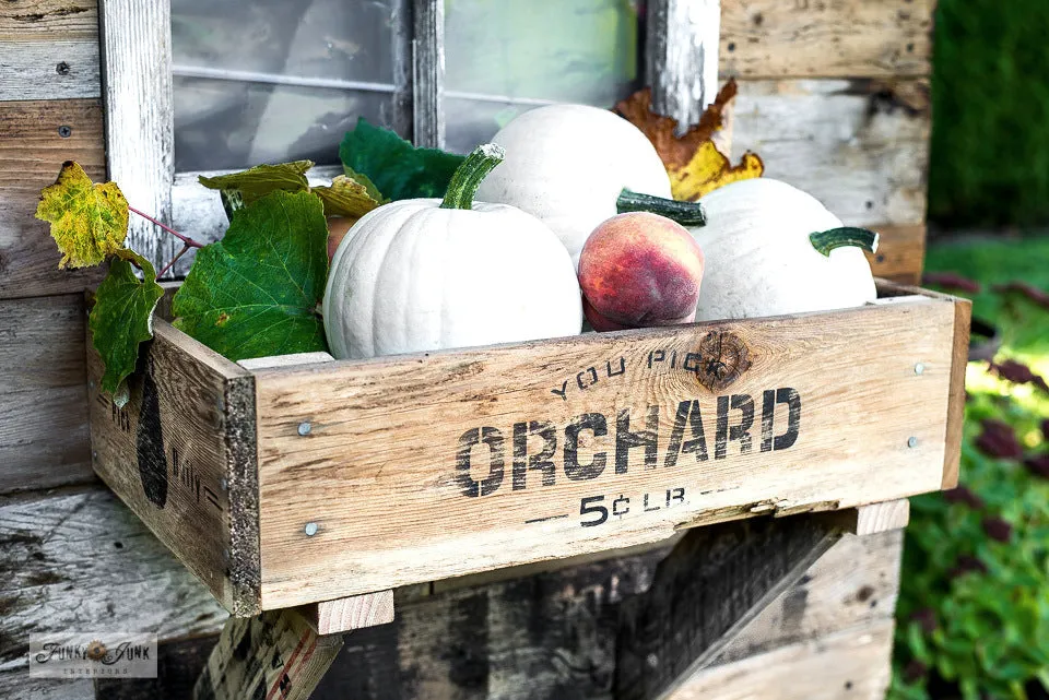 FJ081 Funky Junk's You Pick Orchard