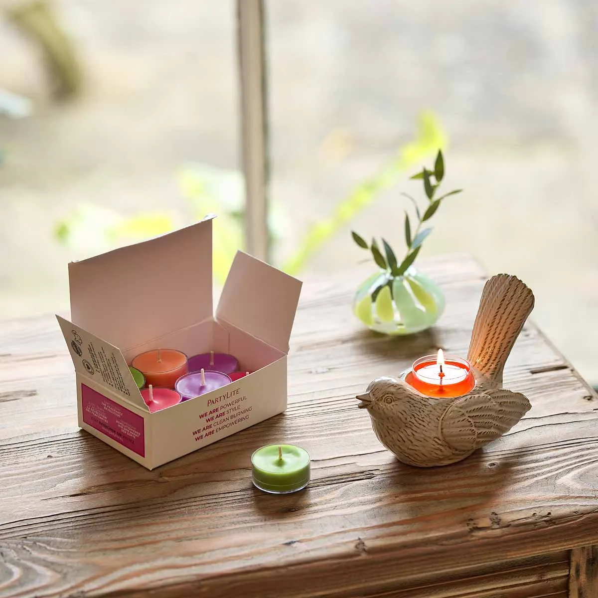 Garden Beauty 12-Piece Tealight Sampler