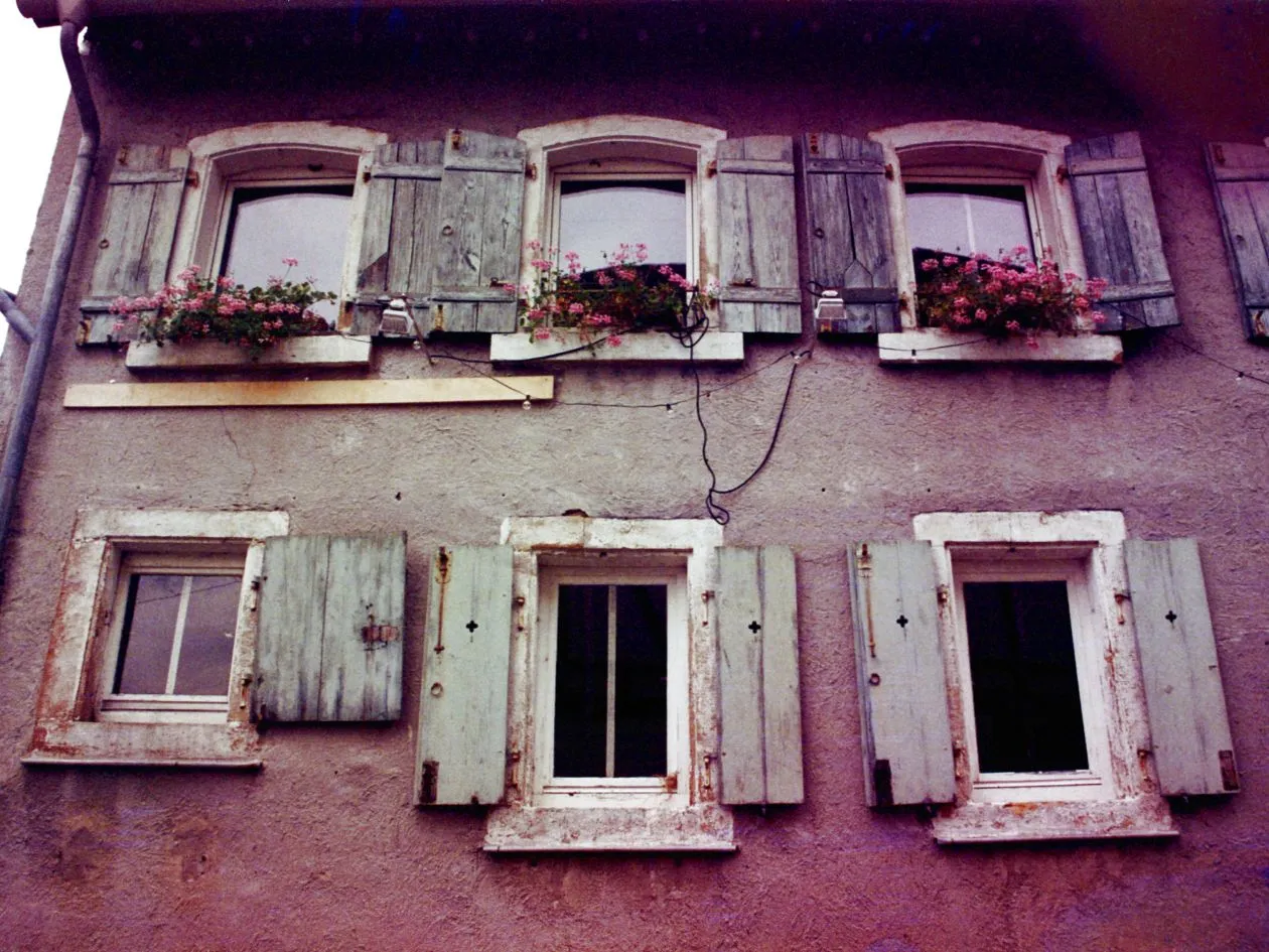 Hanalogital Autumn '24 (Souped Film) - 35mm Film