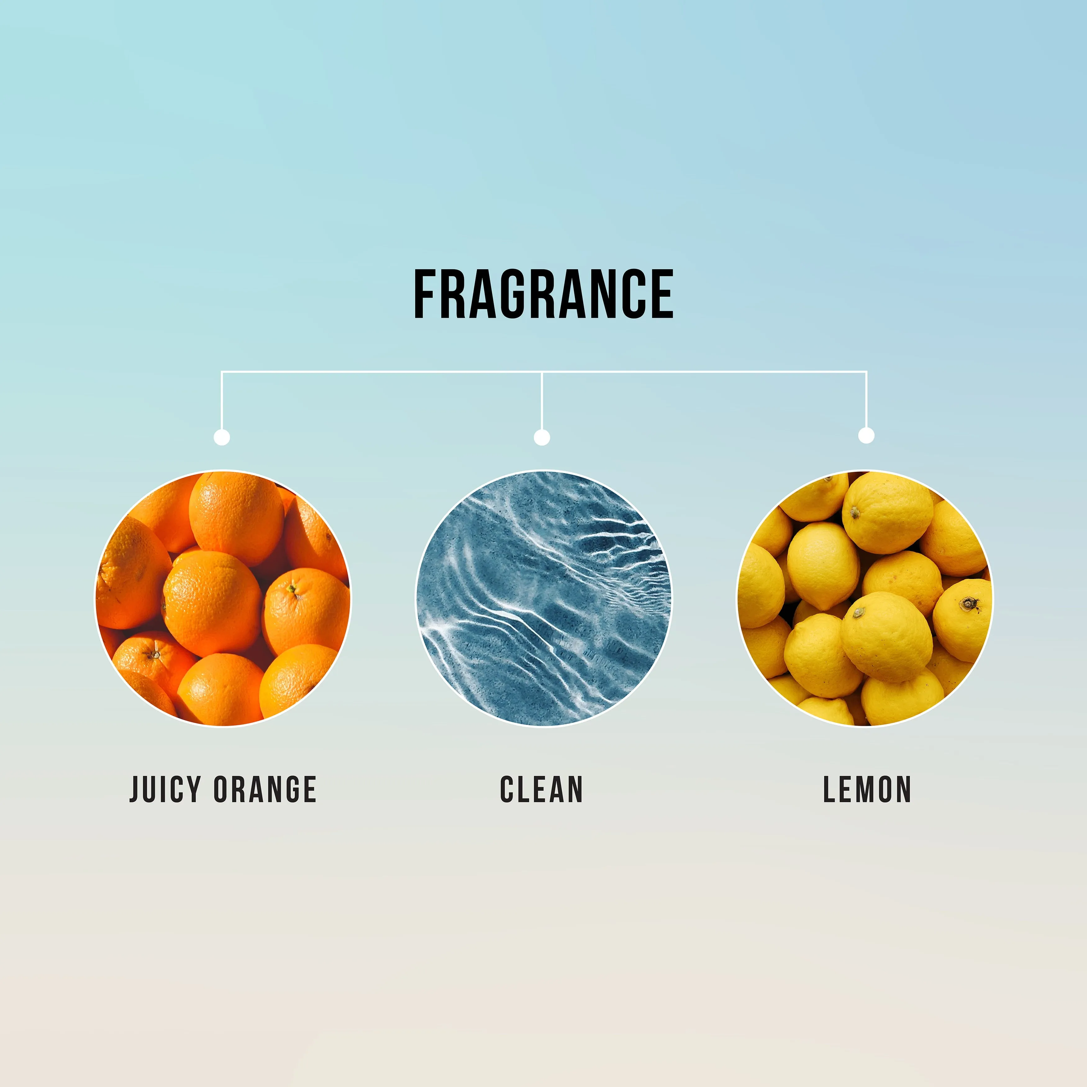 HASK Argan Oil from Morocco Repairing Daily Shampoo with Vitamin E, Orange Citru