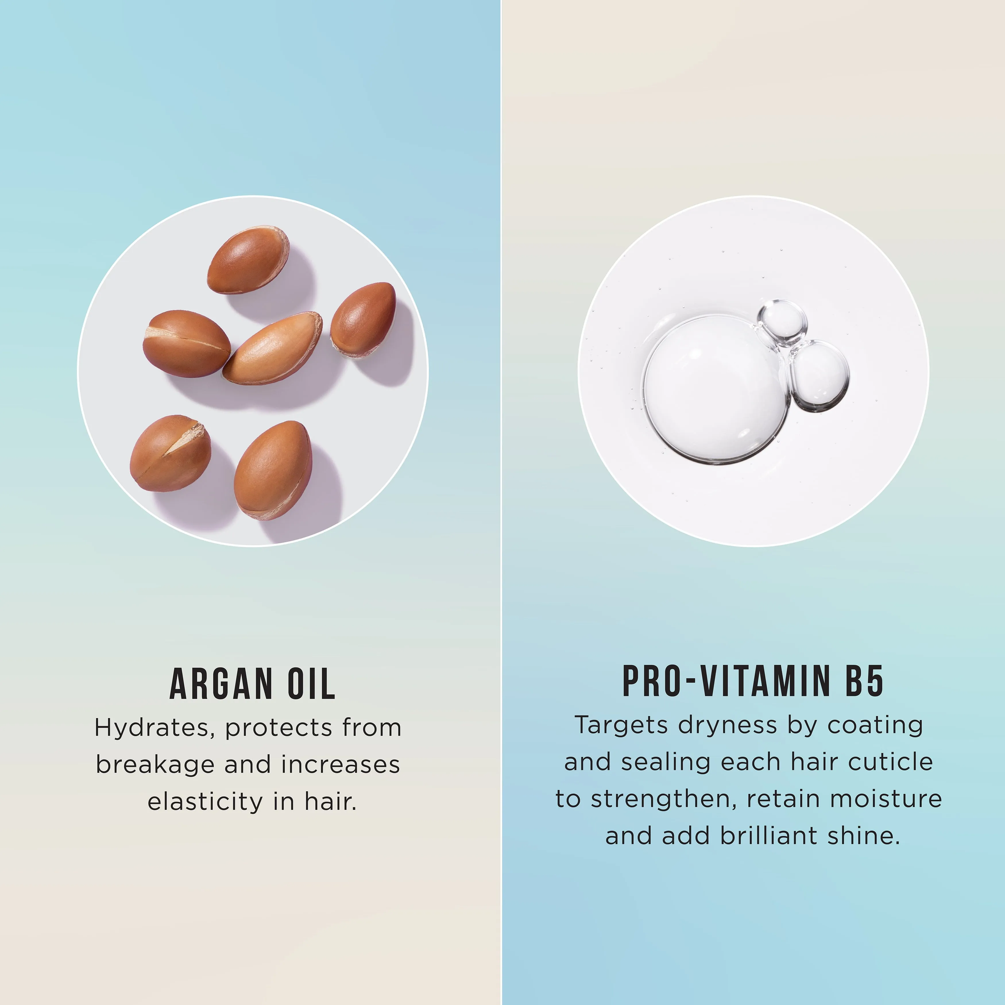 HASK Argan Oil from Morocco Repairing Daily Shampoo with Vitamin E, Orange Citru