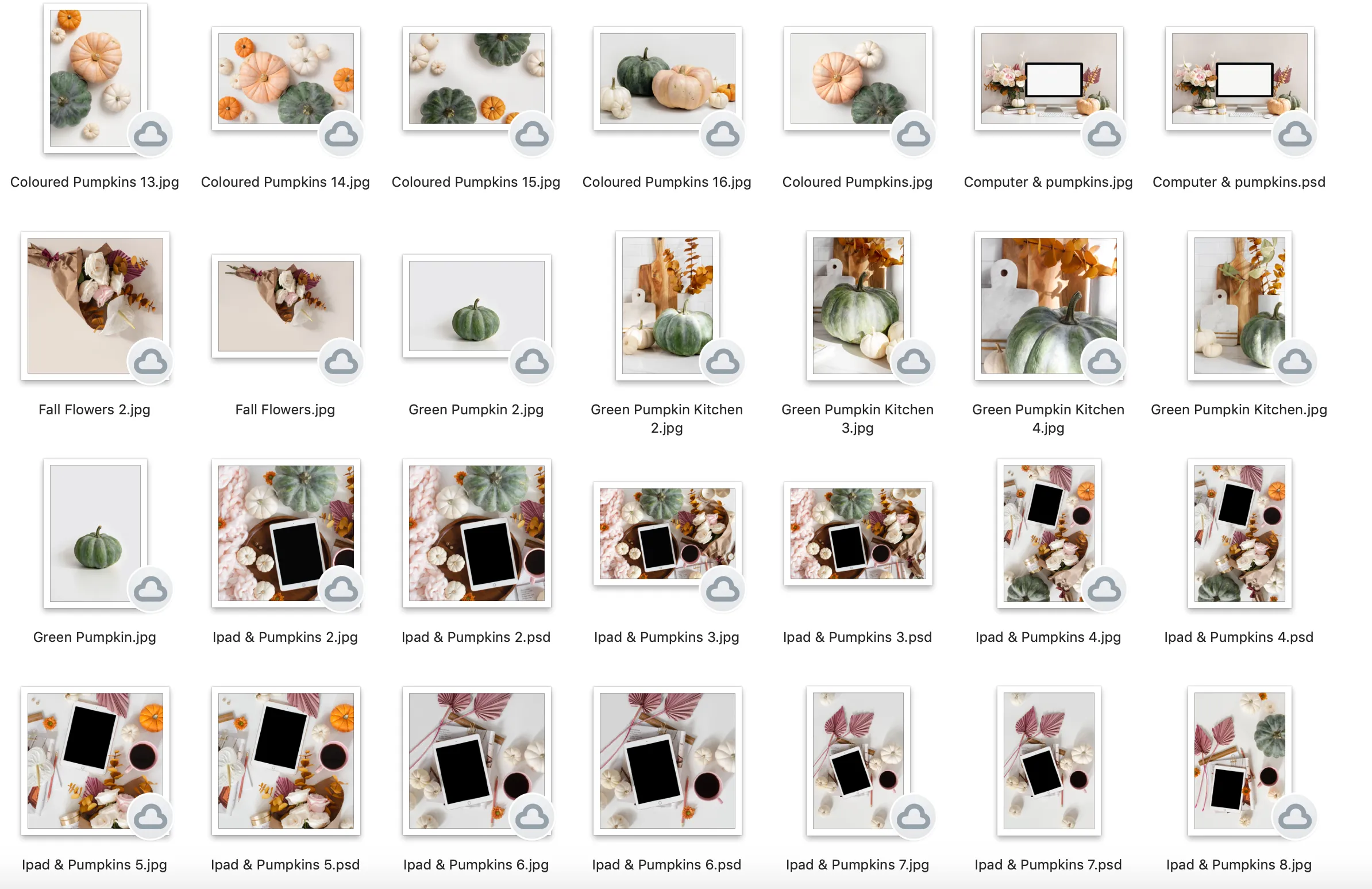 Hint of Fall Collection, Styled Stock Bundle