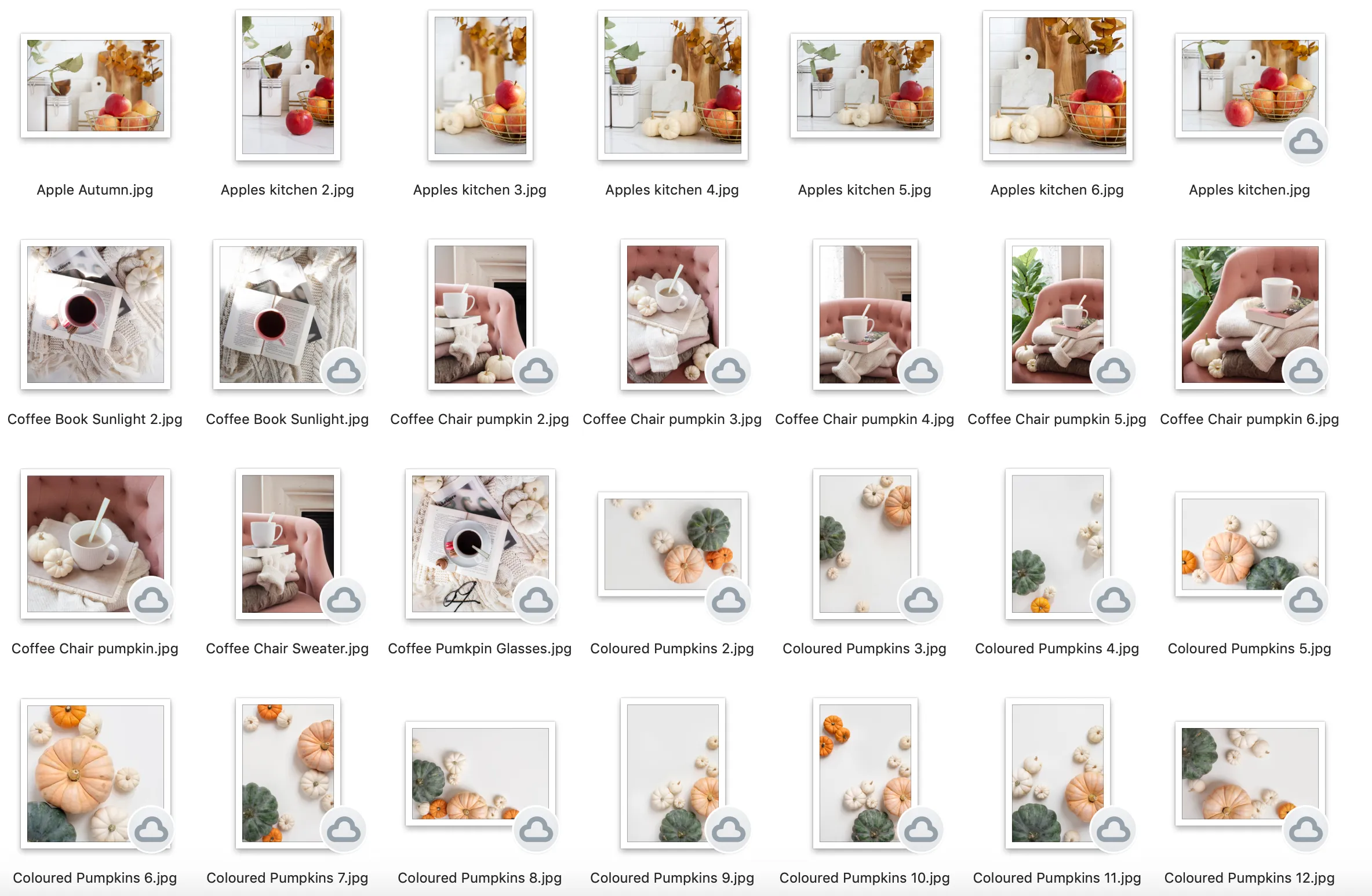 Hint of Fall Collection, Styled Stock Bundle
