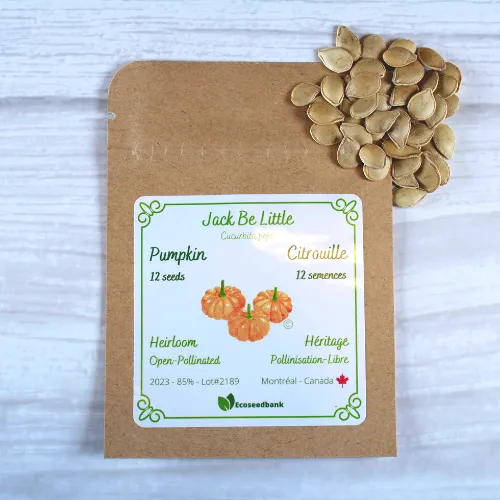Jack be Little Pumpkin Seeds