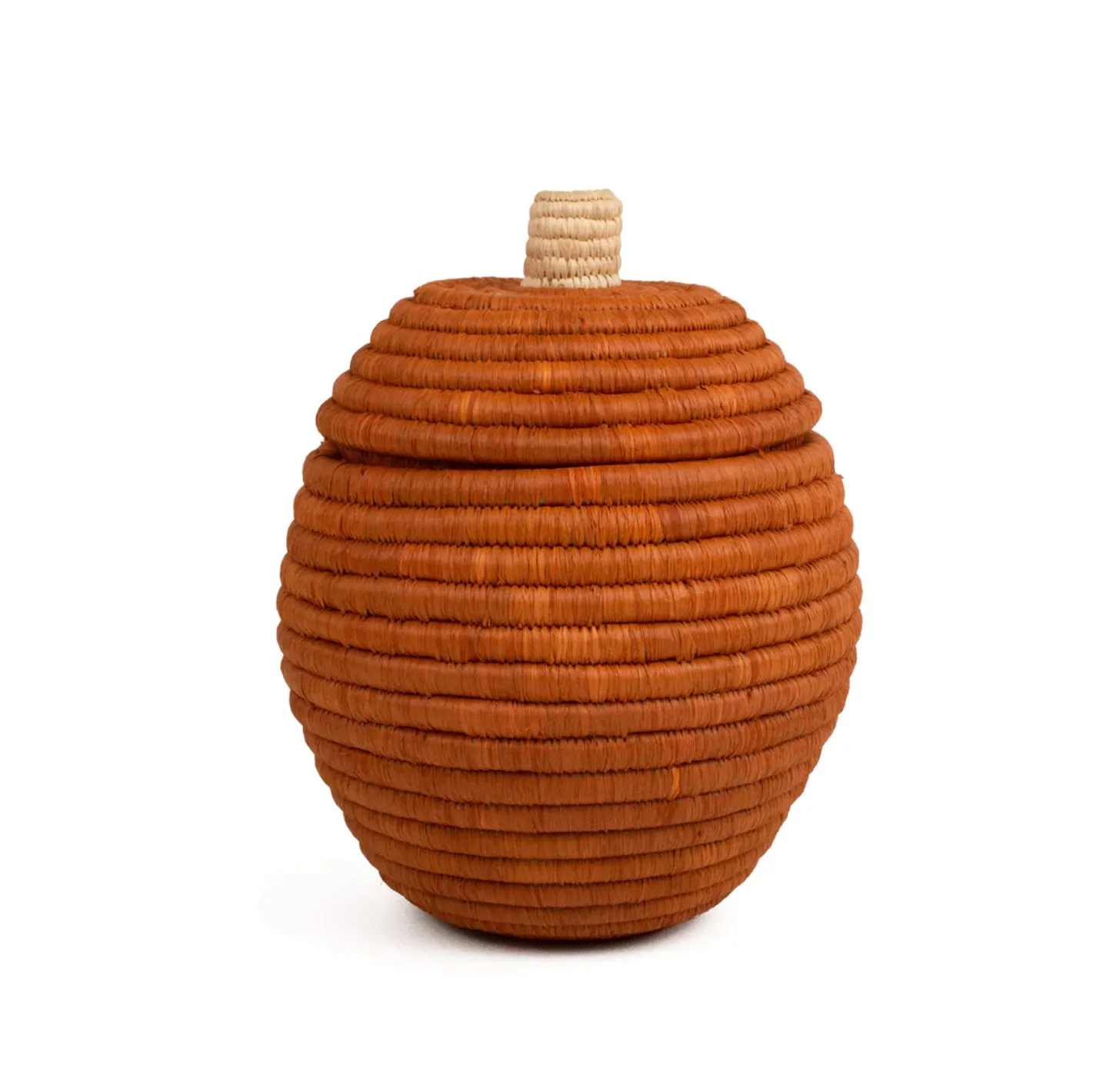 Kazi Pumpkin