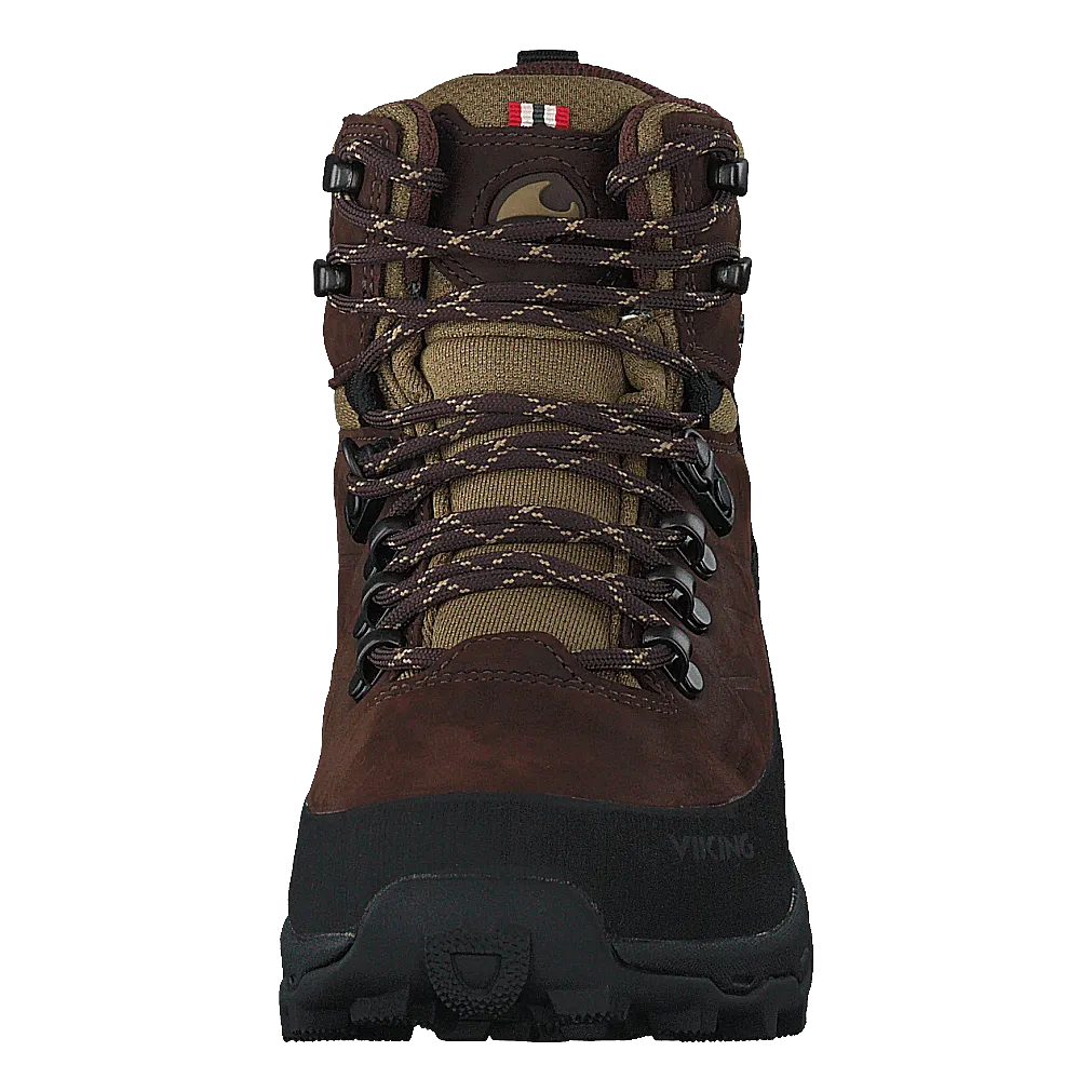 Lofoten Gtx Brown
