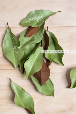 Magnolia Leaves with Grateful & Thankful