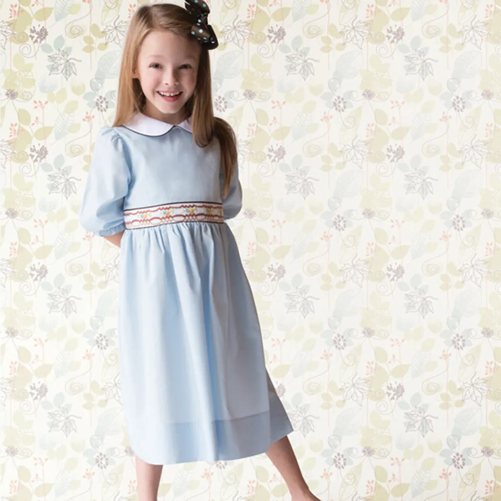 Medium Blue 3/4 Sleeve Brown Trim Smocked Baby Dress w/Peter Pan Collar