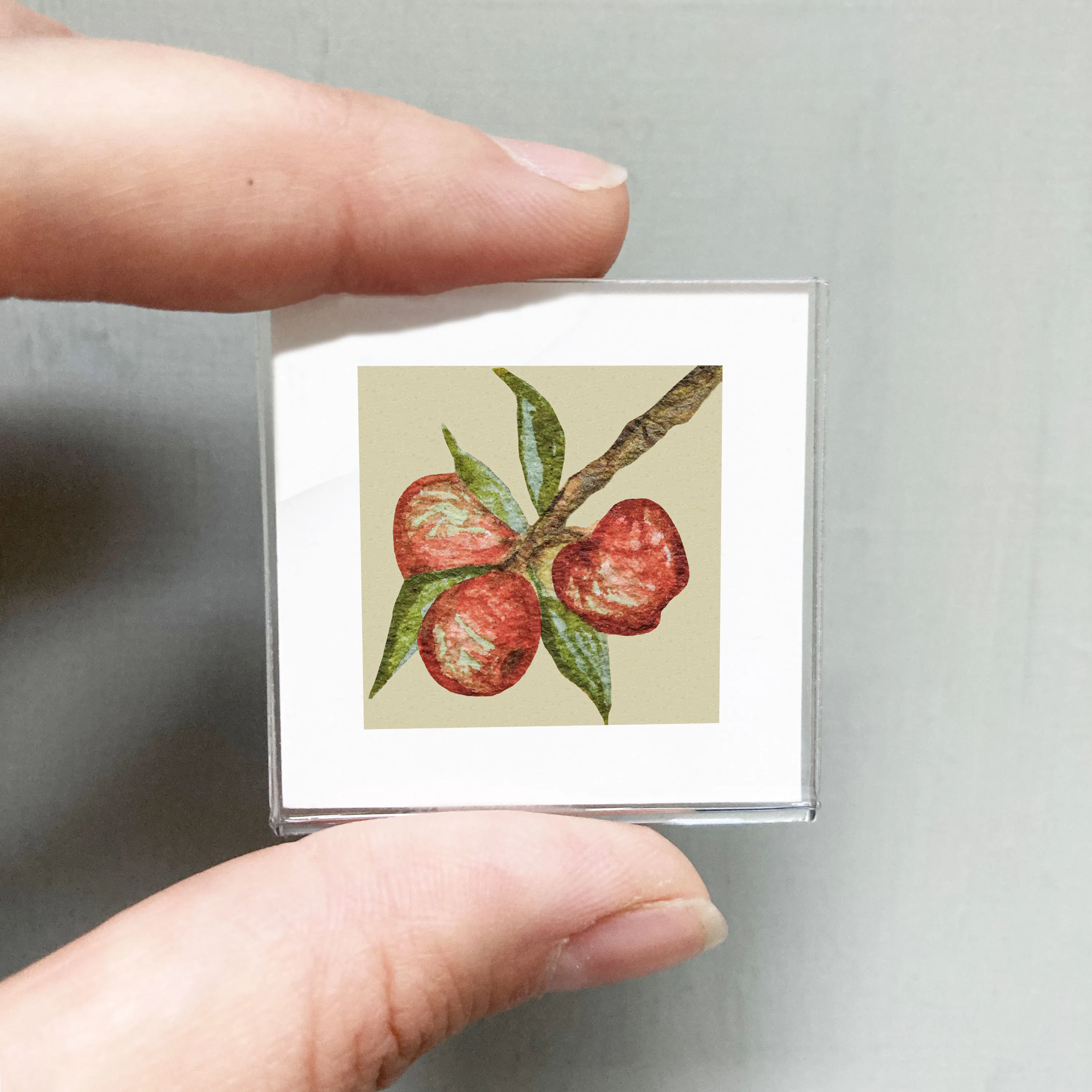 Mini 1" Orchard Apple Watercolor Print