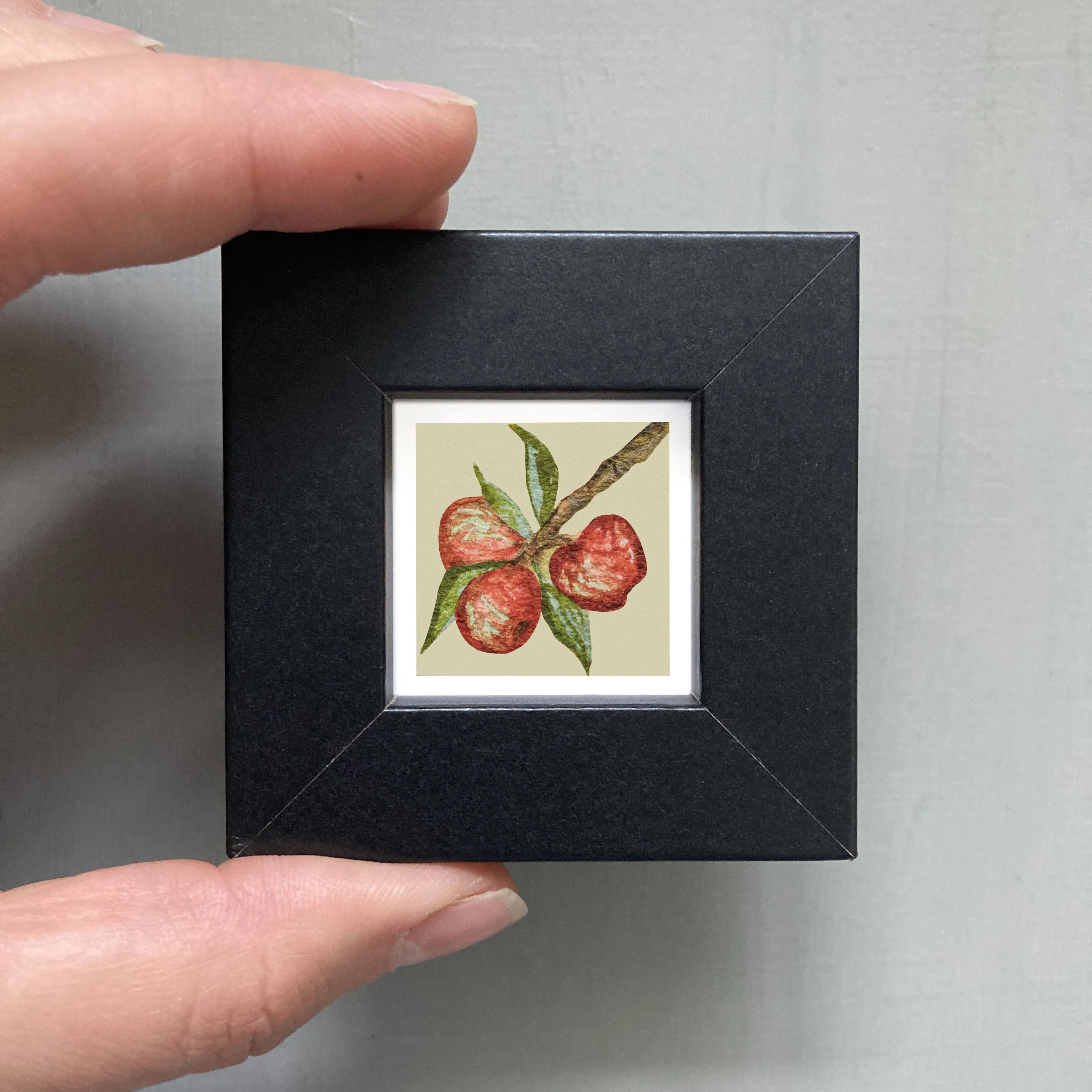 Mini 1" Orchard Apple Watercolor Print