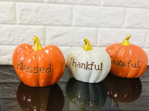 New 5 in. Orange Blessed, White Thankful and Orange Grateful Ceramic Tabletop Pumpkins (Set of 3) by National Tree Company!