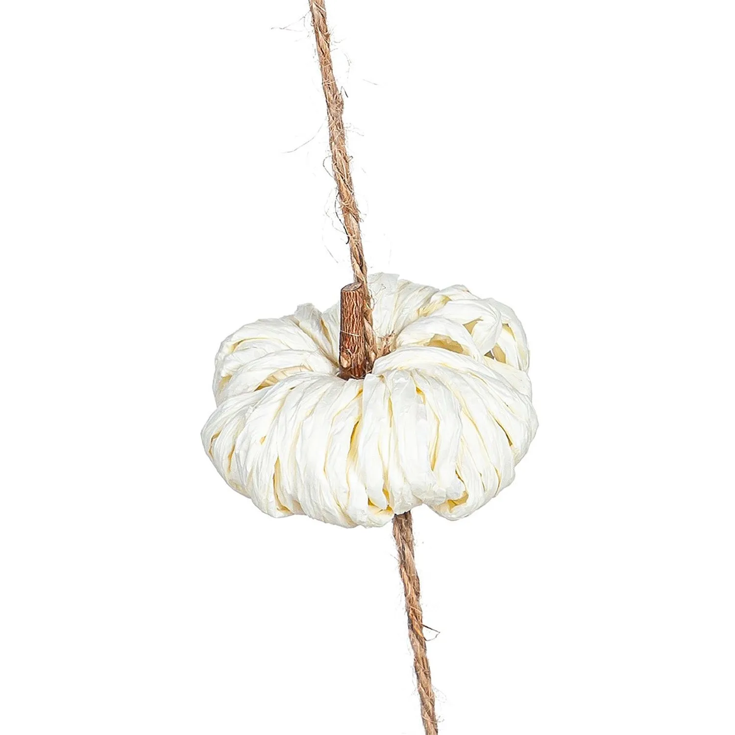 Paper Rope Pumpkin  Garland
