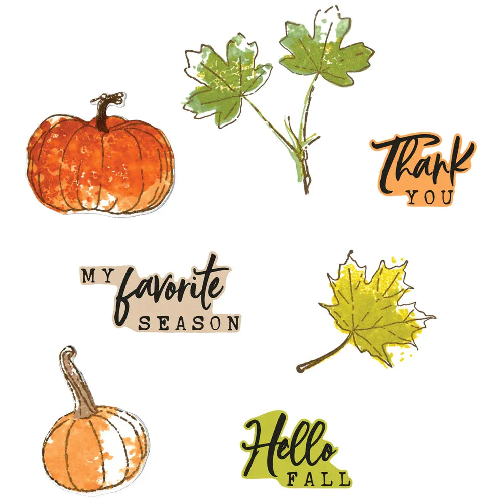 Pencil Line Harvest Stamp & Die Set 49 & Market 666709