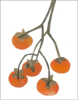 Persimmons