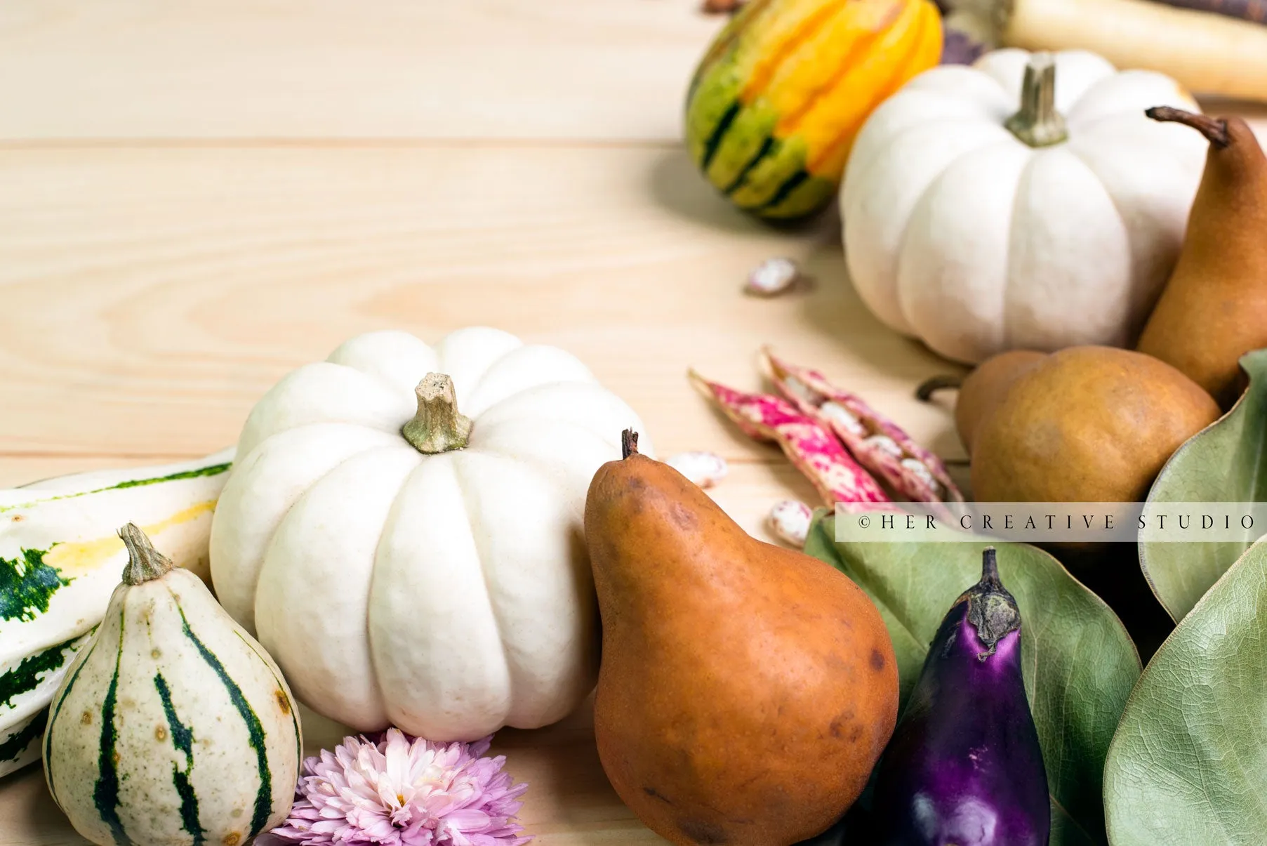 Pumpkins & Gourds on Wooden Table