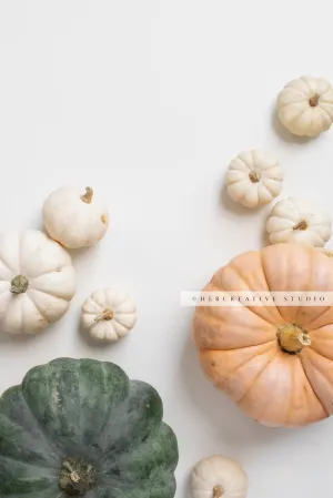 Pumpkins on White Background 3. Digital Stock Image.