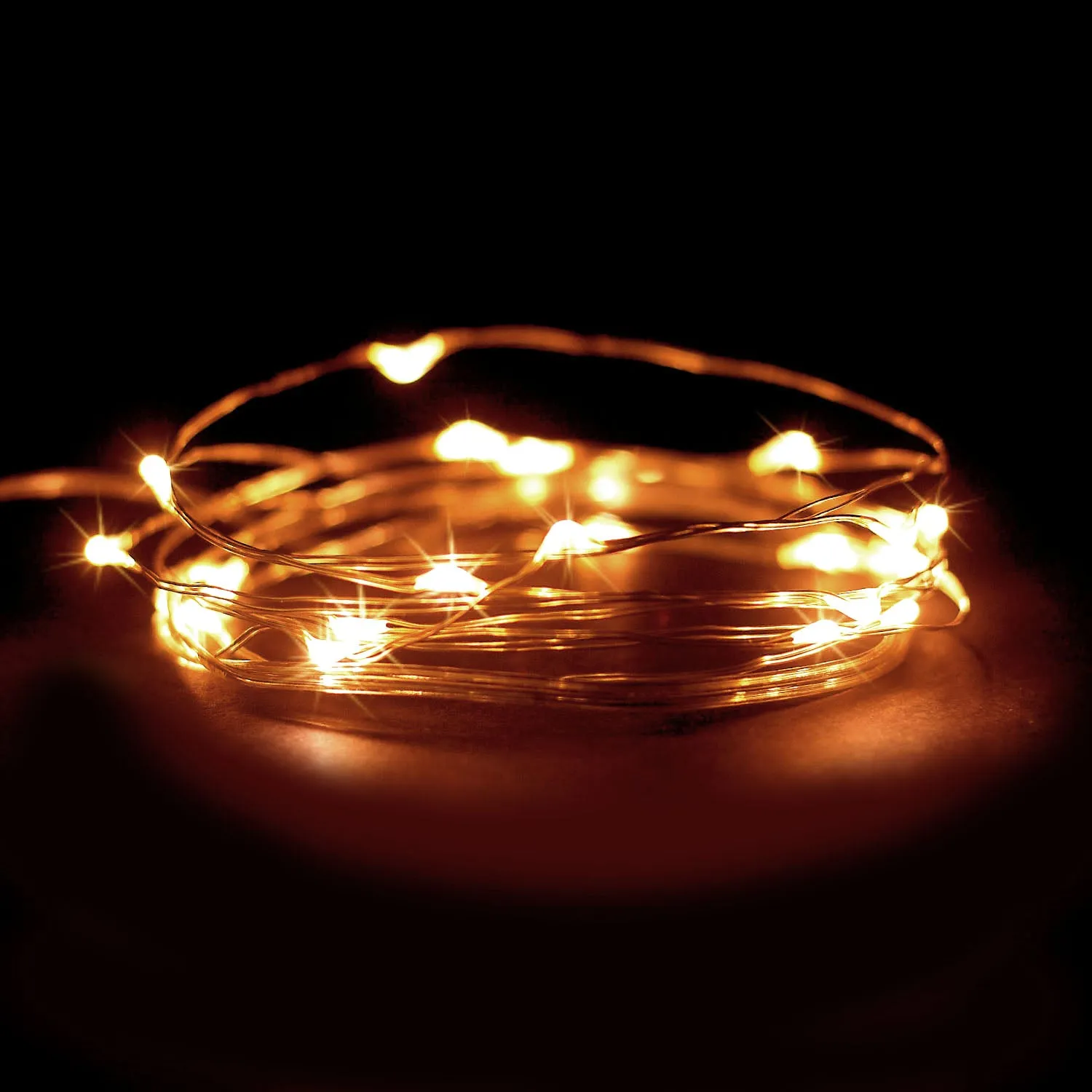 RTGS 2 Sets 20 Warm White Color LED String Lights Batteries Operated on 6.5 Feet Silver Color Wire