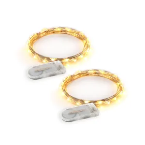 RTGS 2 Sets 20 Warm White Color LED String Lights Batteries Operated on 6.5 Feet Silver Color Wire