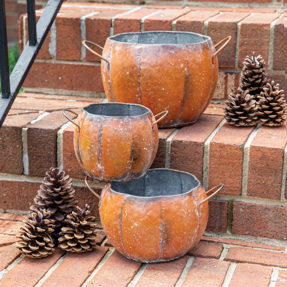 Rustic Metal Pumpkin Containers