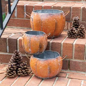 Rustic Metal Pumpkin Containers