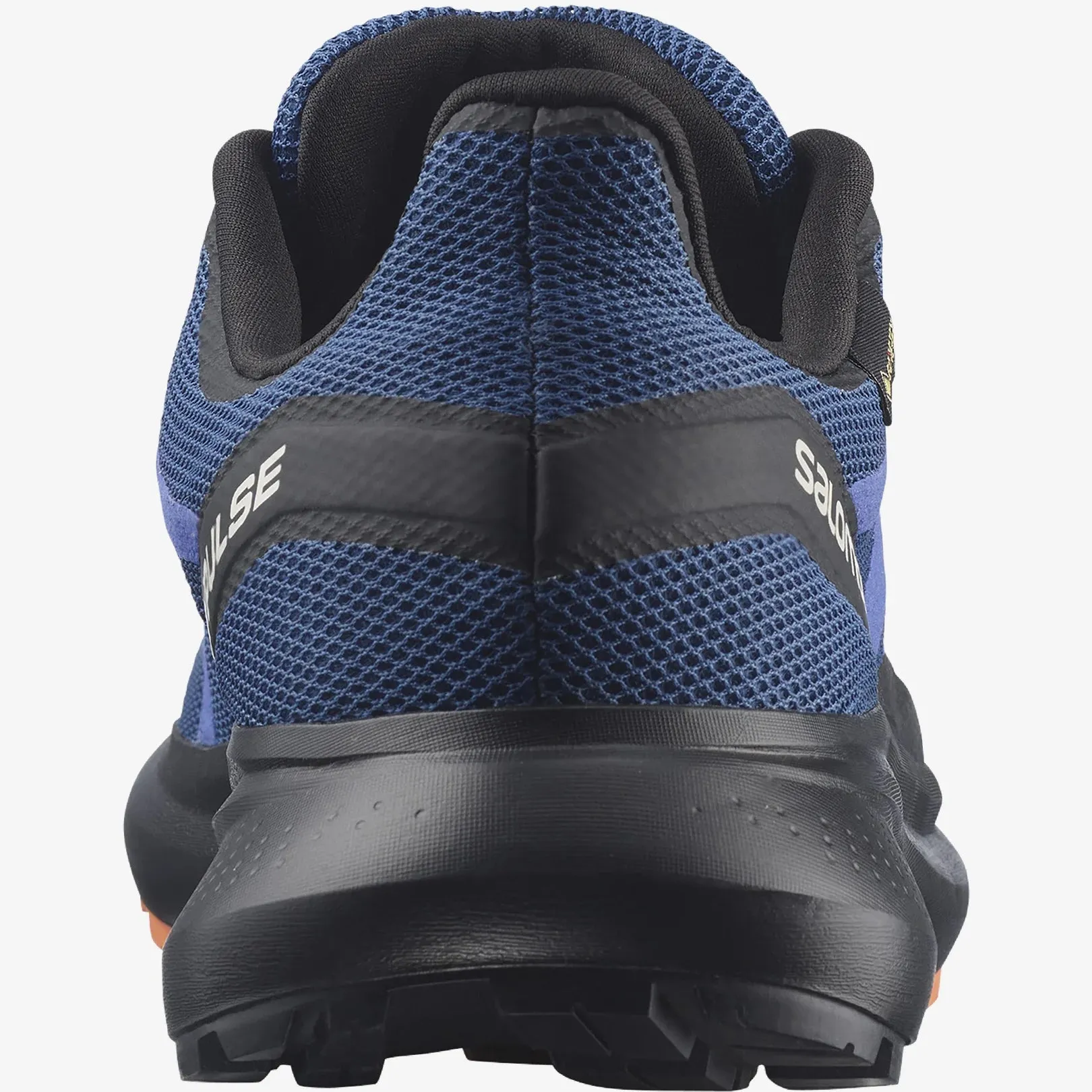 SALOMON Men's HYPULSE GTX