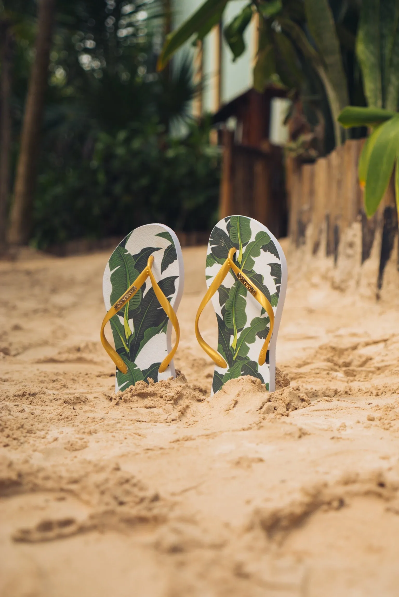 Samba Sol Women's Fashion Collection Flip Flops - Banana Leaf Gold