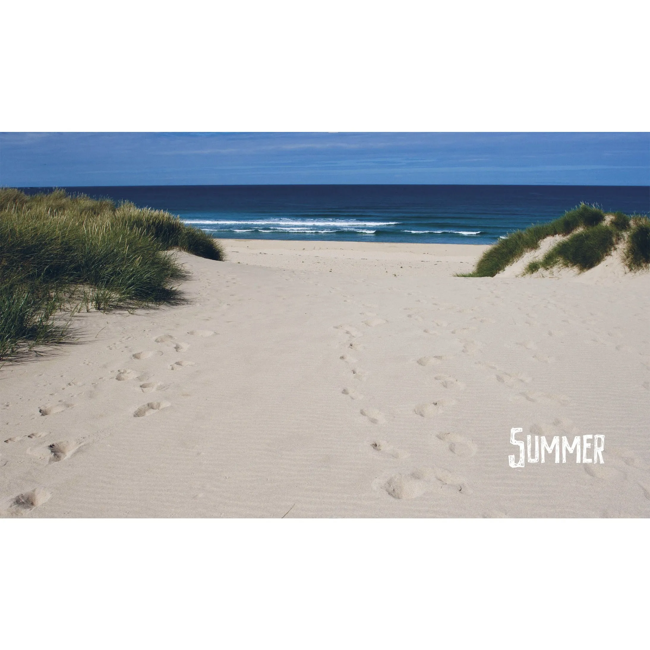 The Camper Van Coast: Cooking, Eating, Living the Life
