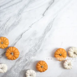 White & Orange Coloured Pumpkins